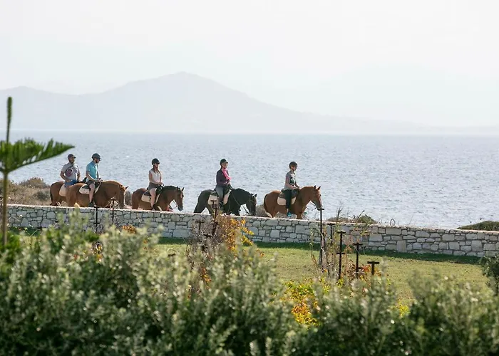 Virginia Villa Ampelas